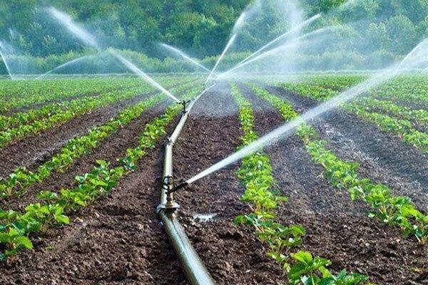 غارت سالیانه 17 میلیارد مترمکعب آب توسط چاه های غیرمجاز غارت سالیانه 17 میلیارد مترمکعب آب توسط چاه های غیرمجاز