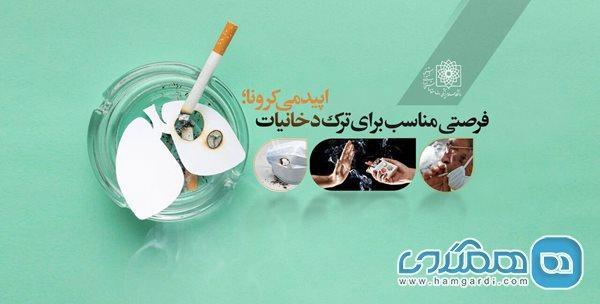 افزایش مرگ و میر ناشی از کرونا در سیگاری ها