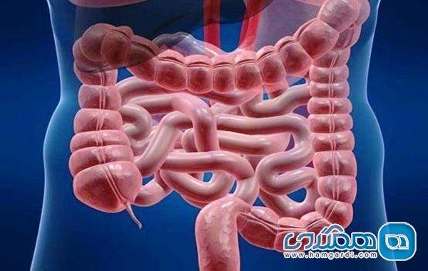 کاهش تاثیر واکسن کرونا در مبتلایان به بیماری التهاب روده کاهش تاثیر واکسن کرونا در مبتلایان به بیماری التهاب روده