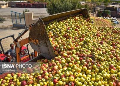 نامه نماینده مردم ارومیه در مجلس به وزیر جهاد کشاورزی در مورد معضل سیب