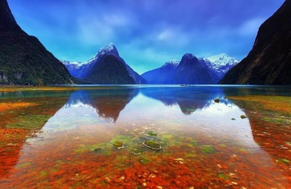 برترین جاذبه های گردشگری نیوزلند