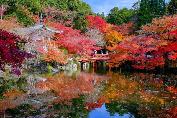 برترین زمان سفر به کیوتو؛ معجزه نفسگیر چشم اندازها در ژاپن