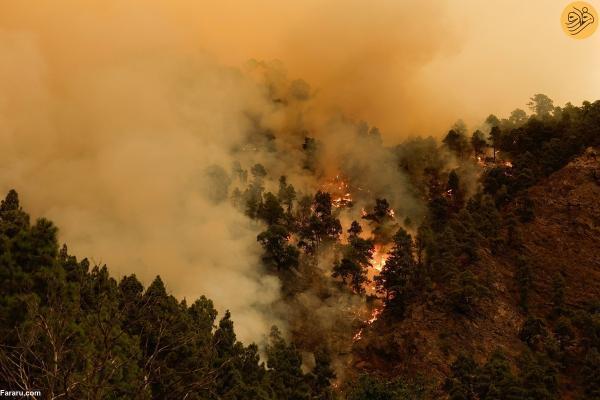 آتش سوزی جنگلی در تنریف اسپانیا
