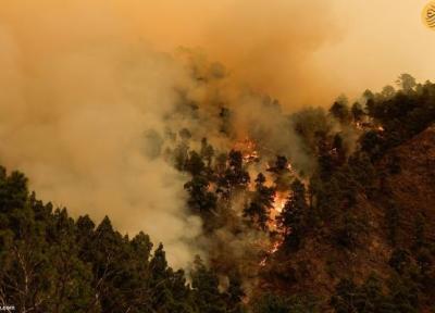 آتش سوزی جنگلی در تنریف اسپانیا